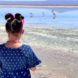 Cejar lagoon, Tebenquinche lagoon and Salt flat eyes.